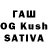 Галлюциногенные грибы GOLDEN TEACHER Fordevind 74