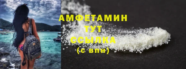 прущие грибы Верхний Тагил