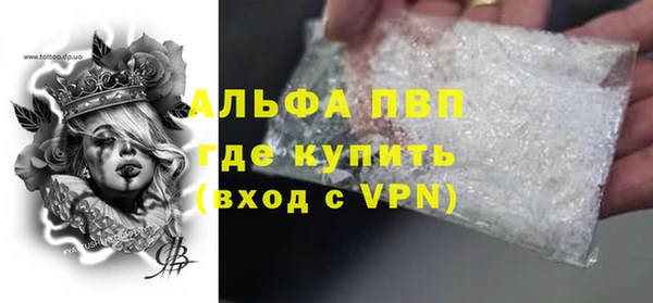 прущие грибы Верхний Тагил