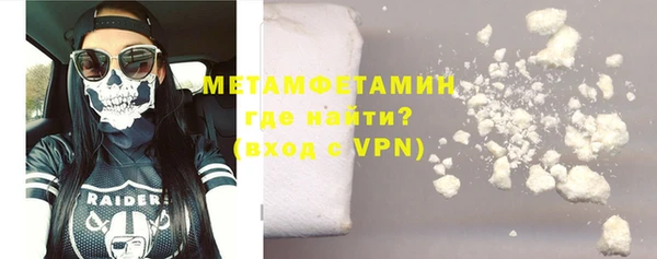 прущие грибы Верхний Тагил