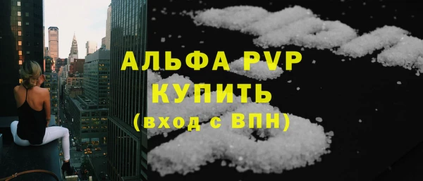 прущие грибы Верхний Тагил