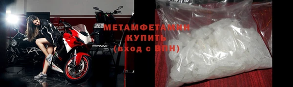 прущие грибы Верхний Тагил