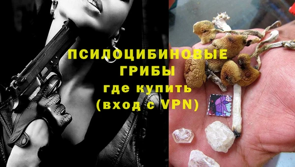 прущие грибы Верхний Тагил