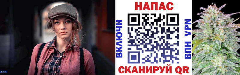 Бошки марихуана планчик  Купить  Амурск 
